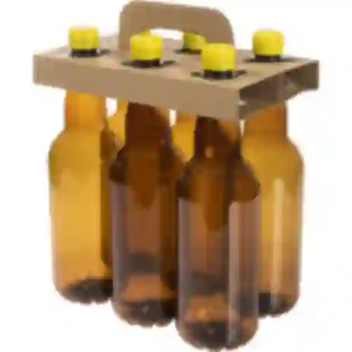 A set of 1 L PET beer bottles in a carrier (6 pcs)