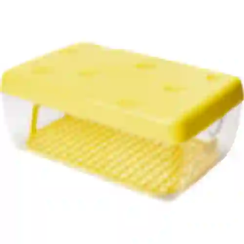 Container for cheese storage, 3 L